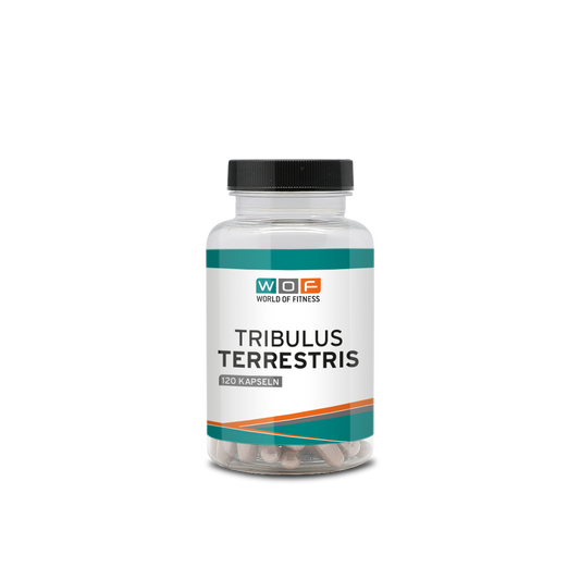 Tribulus Terrestris 120 Kapseln