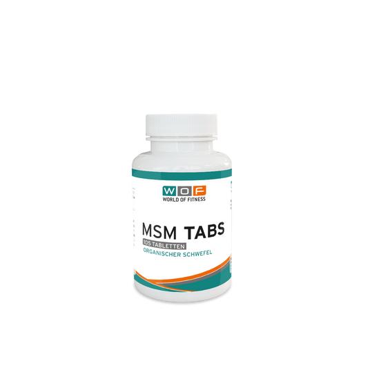 MSM Tabs 105 Tabletten